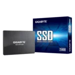 Gigabyte SSD 256GB GP-GSTFS31256GTND