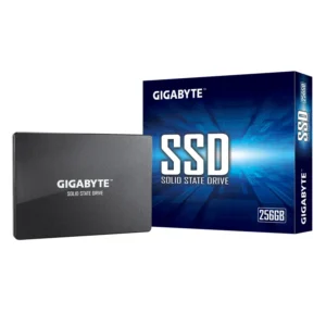 Gigabyte SSD 256GB GP-GSTFS31256GTND
